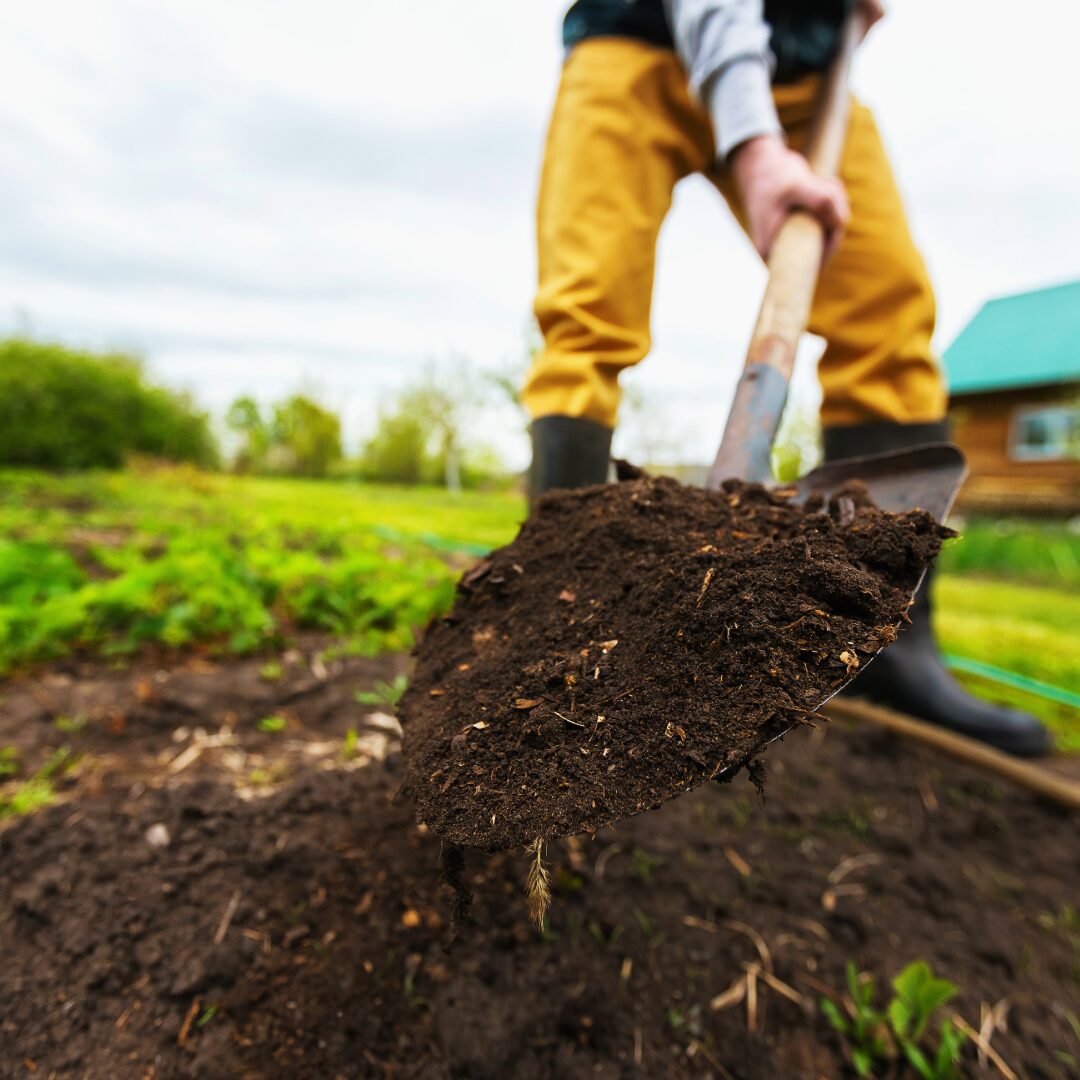 6 Handy Tips to Improve Soil Health in the Northeast